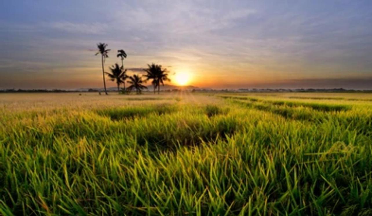 Sobaya Residence Ambalantota Bagian luar foto