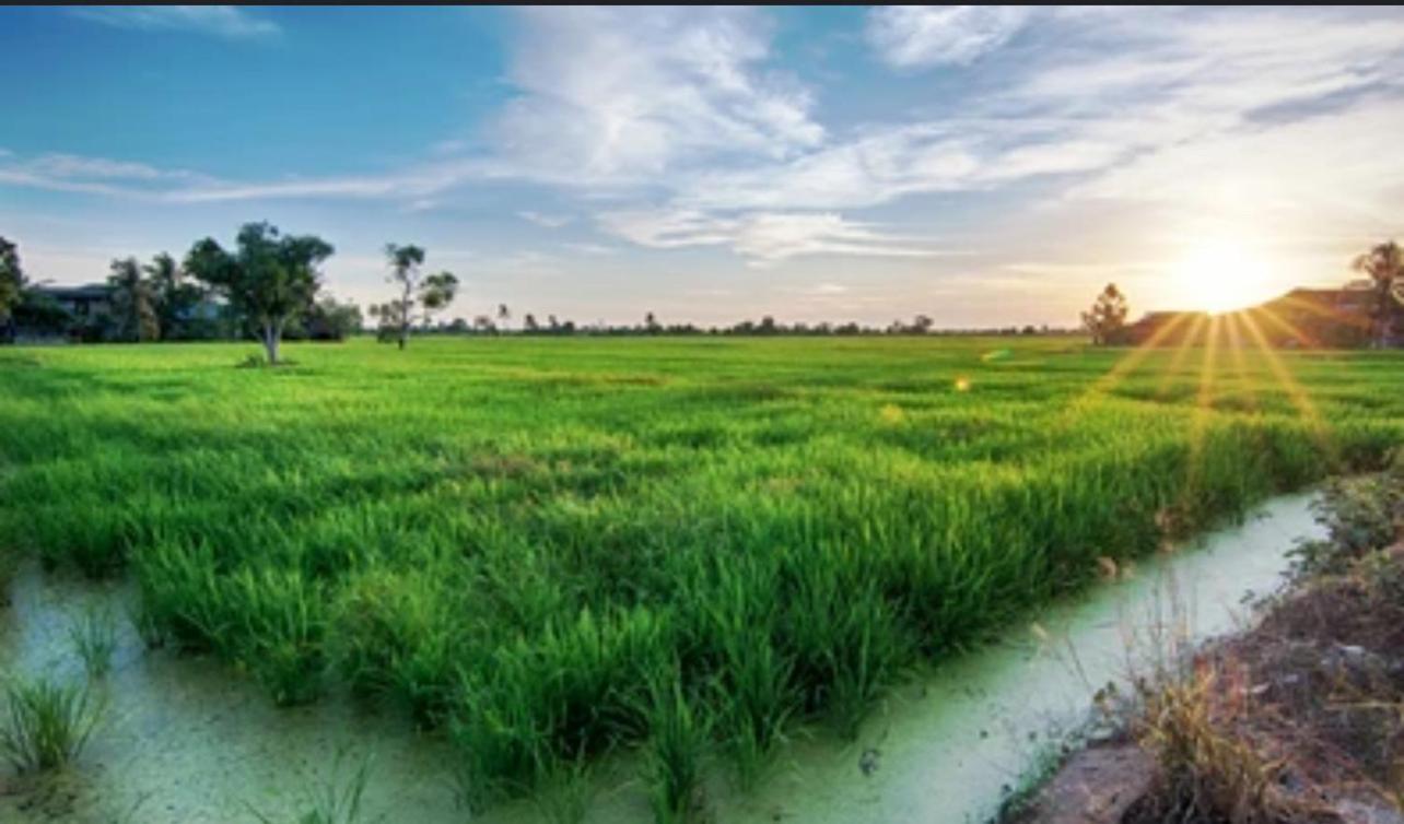 Sobaya Residence Ambalantota Bagian luar foto